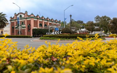 Chamber Leadership Strengthens Local Businesses